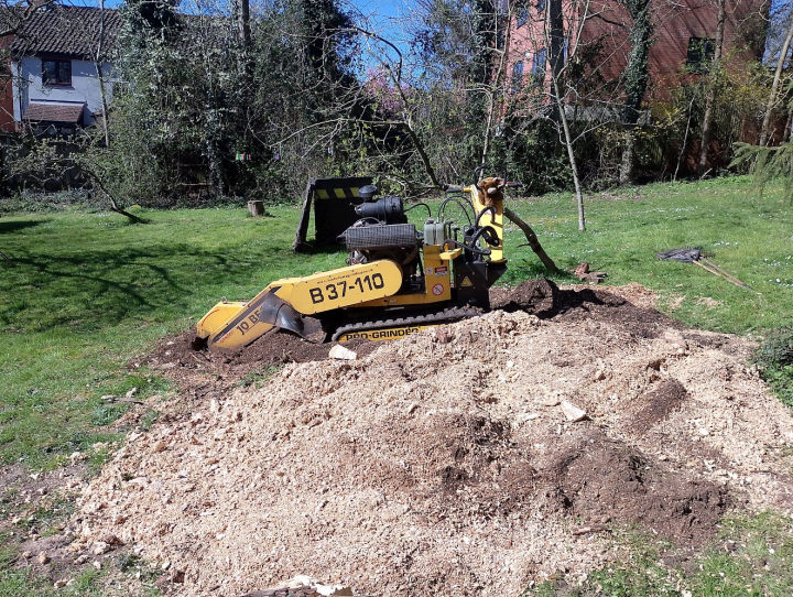 Nice big blown over For all your stump grinding needs, big or small. Just give us a call, we grind them all. :-)