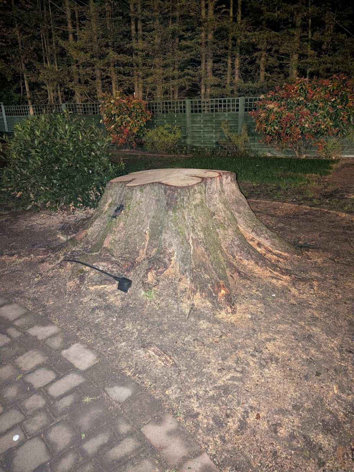 The Chalk Hare, Royston. For all your stump grinding needs, big or small. Just give us a call, we grind them all. :-)