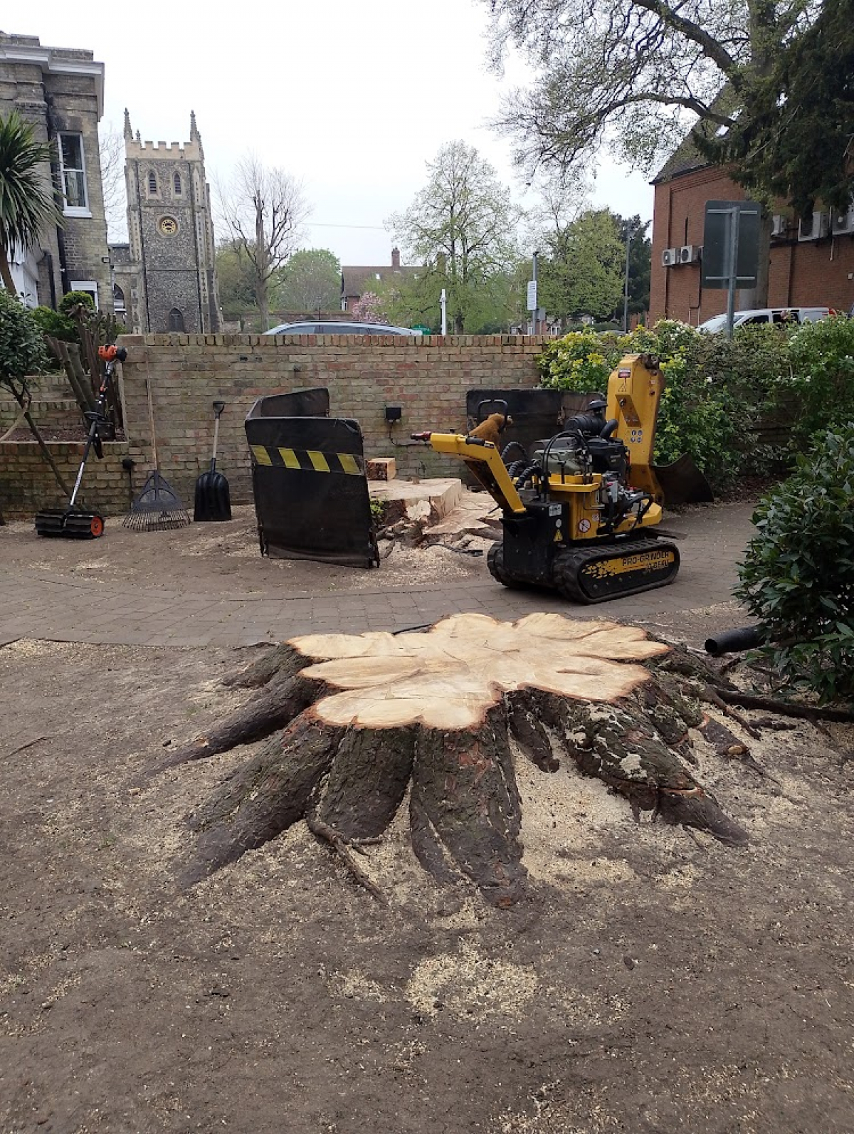 The Chalk Hare, Royston. For all your stump grinding needs, big or small. Just give us a call, we grind them all. :-)