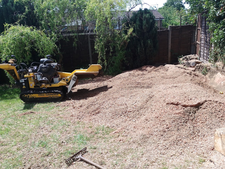 3ft stump lol For all your stump grinding needs, big or small. Just give us a call, we grind them all. :-)