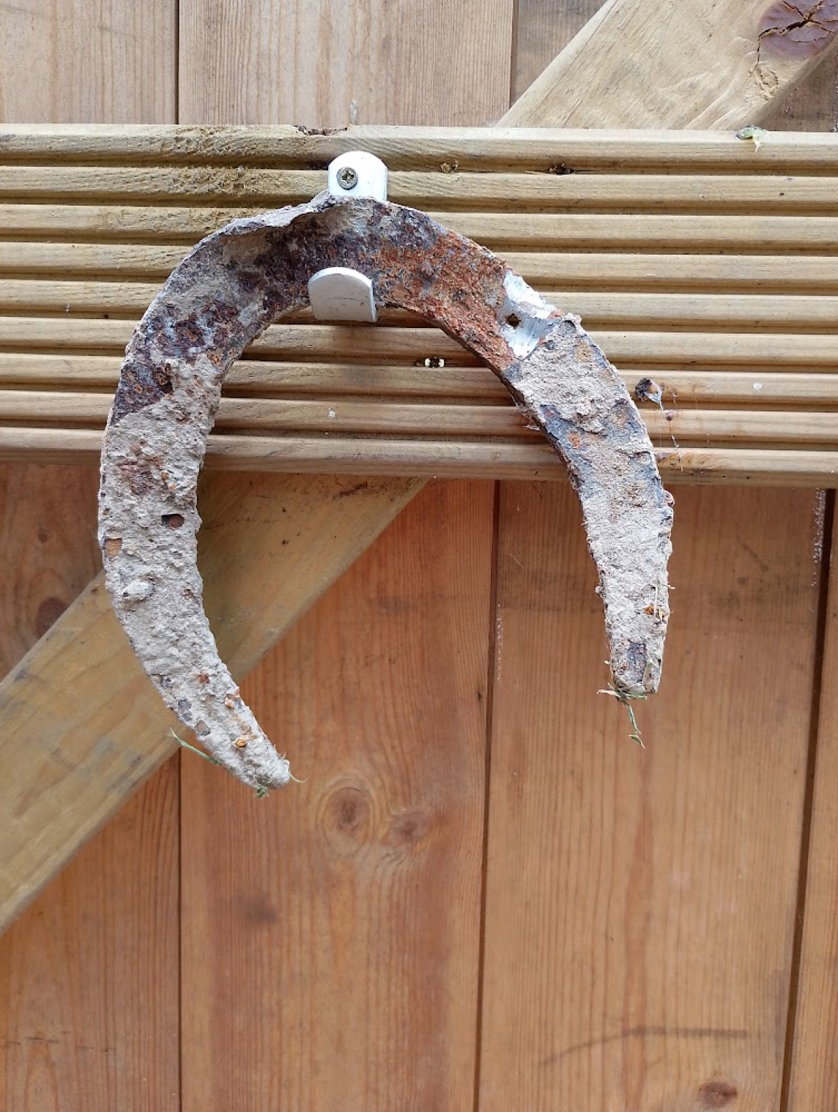 Not such a lucky horseshoe - found in a large Cherry stump :-( For all your stump grinding needs, big or small. Just give us a call, we grind them all.