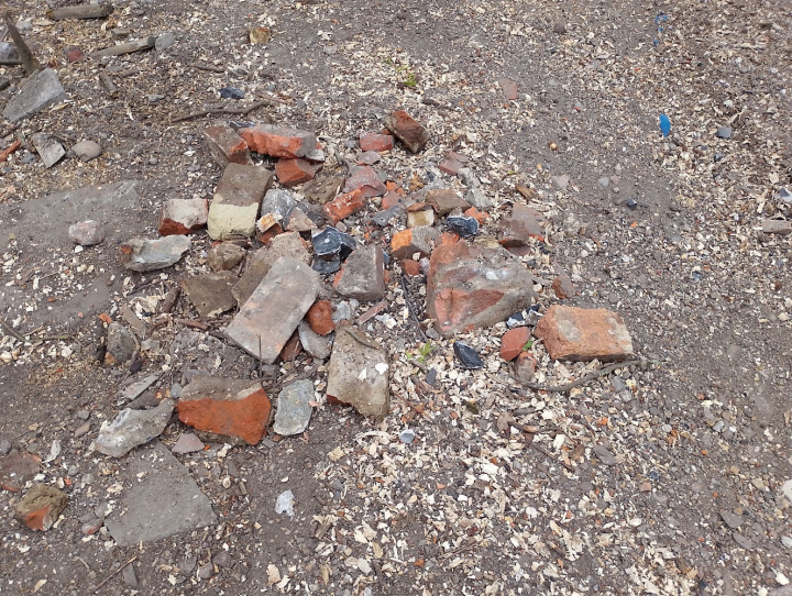 Everyone smashed out of the stump with a pick axe :-( Demanding tree stump removal job in Therfield, Royston