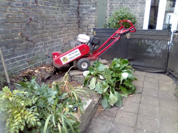 Narrow Access Narrow access and raised beds