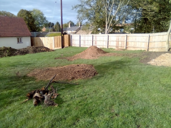 Before & After Some very unsightly Cherry stumps today.