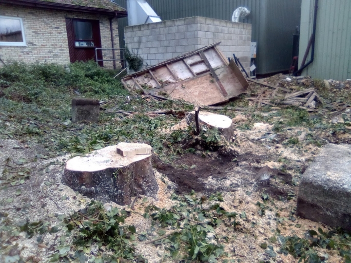 Little site clearance job the last couple of days. 