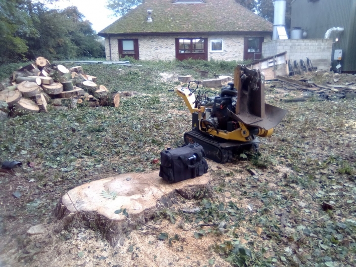 Little site clearance job the last couple of days. 