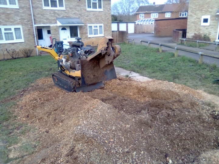 Busy day For all your stump grinding needs, big or small - just give us a call :-)