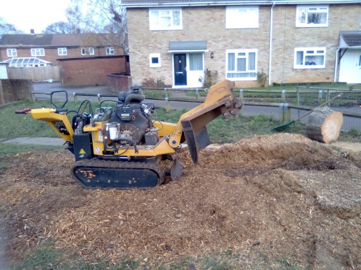 Busy day For all your stump grinding needs, big or small - just give us a call :-)