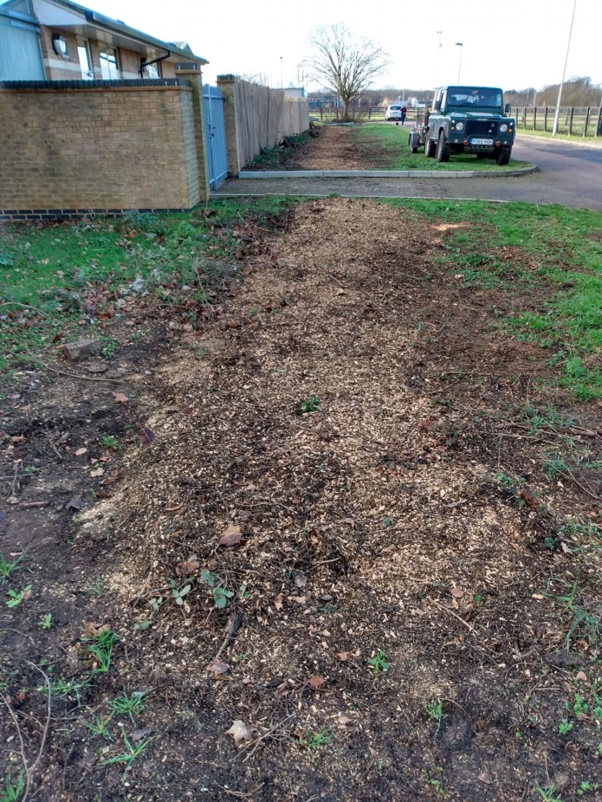 Before & After 60 Conifer stumps. Cambridge