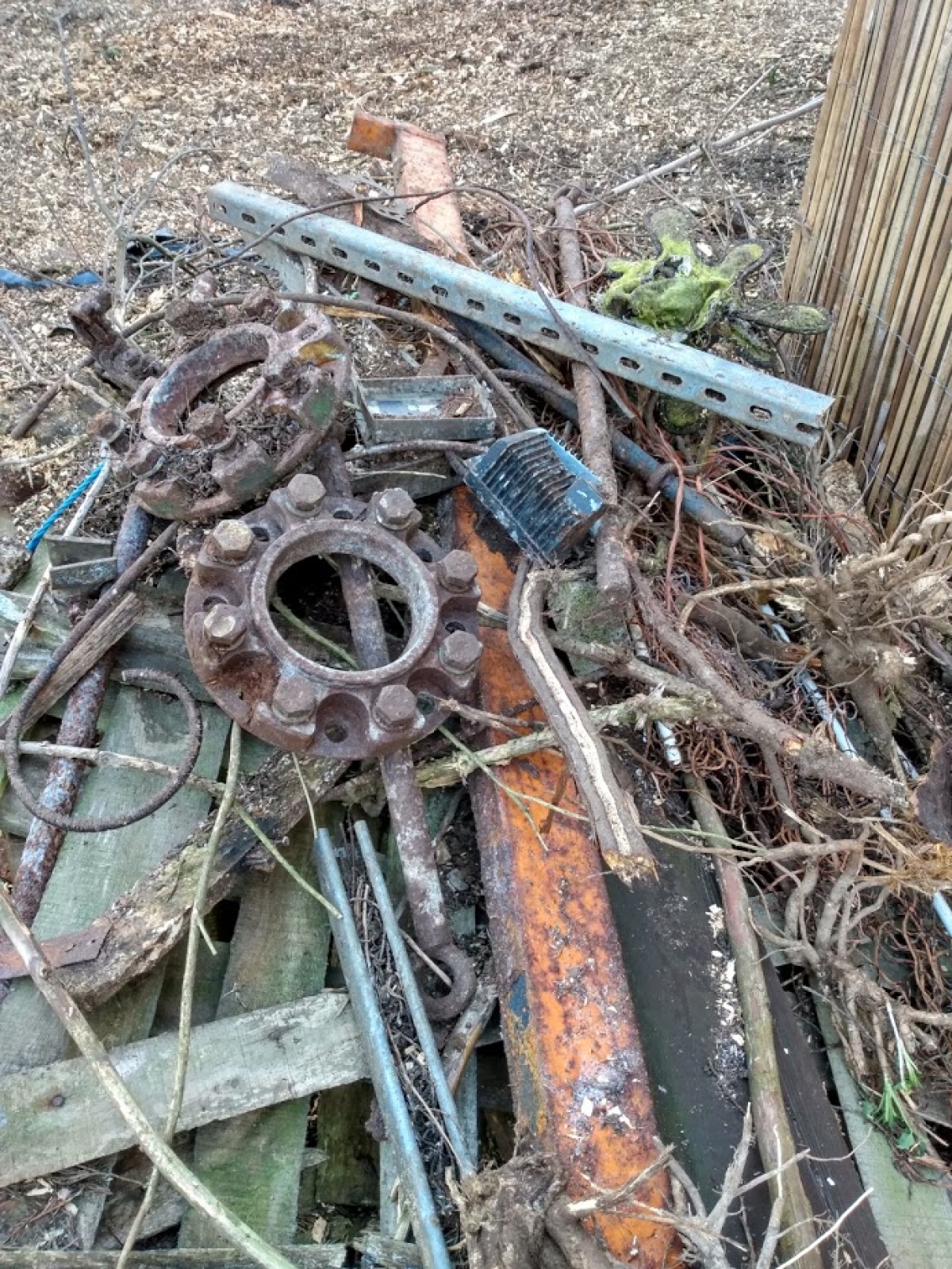 Just some of the rubbish we dug out :-) 60 Conifer stumps. Cambridge