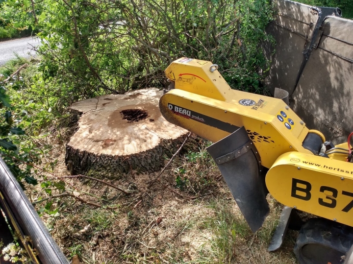 Before & After For all your stump grinding needs, big or small - just give us a call :-)