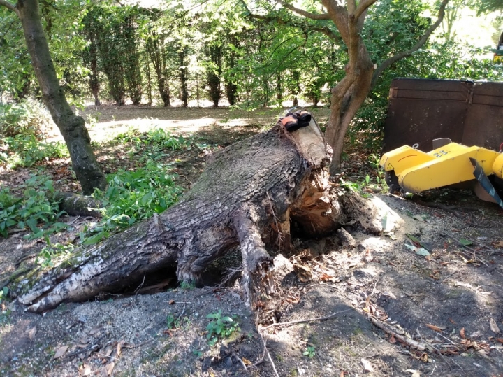 We really do work in some beautiful places :-) Nice little stump :-)