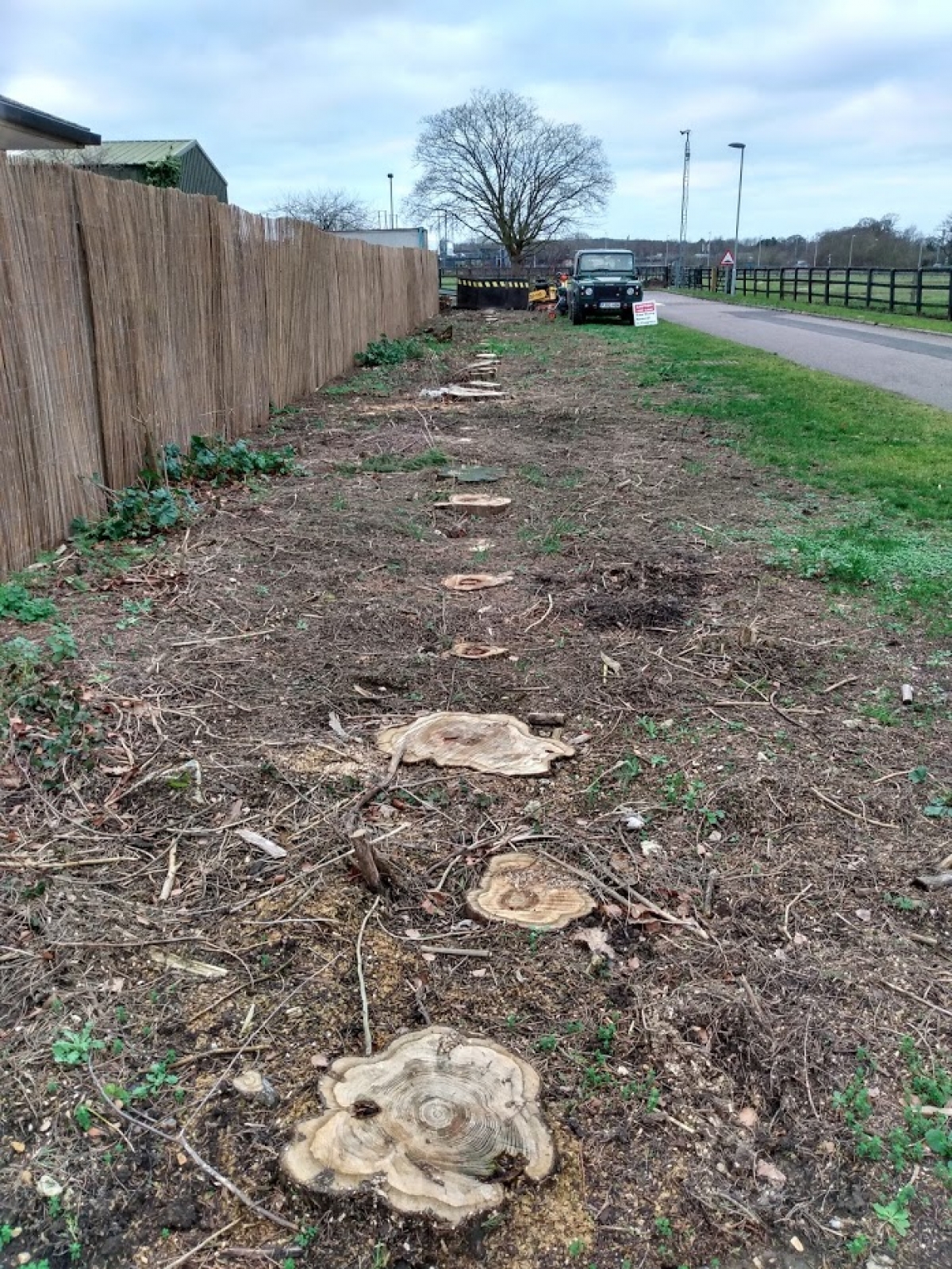 Before & After Popped back to a site we worked at earlier in the year. New grass, new hedge and a lovely wild flower bed. :-)