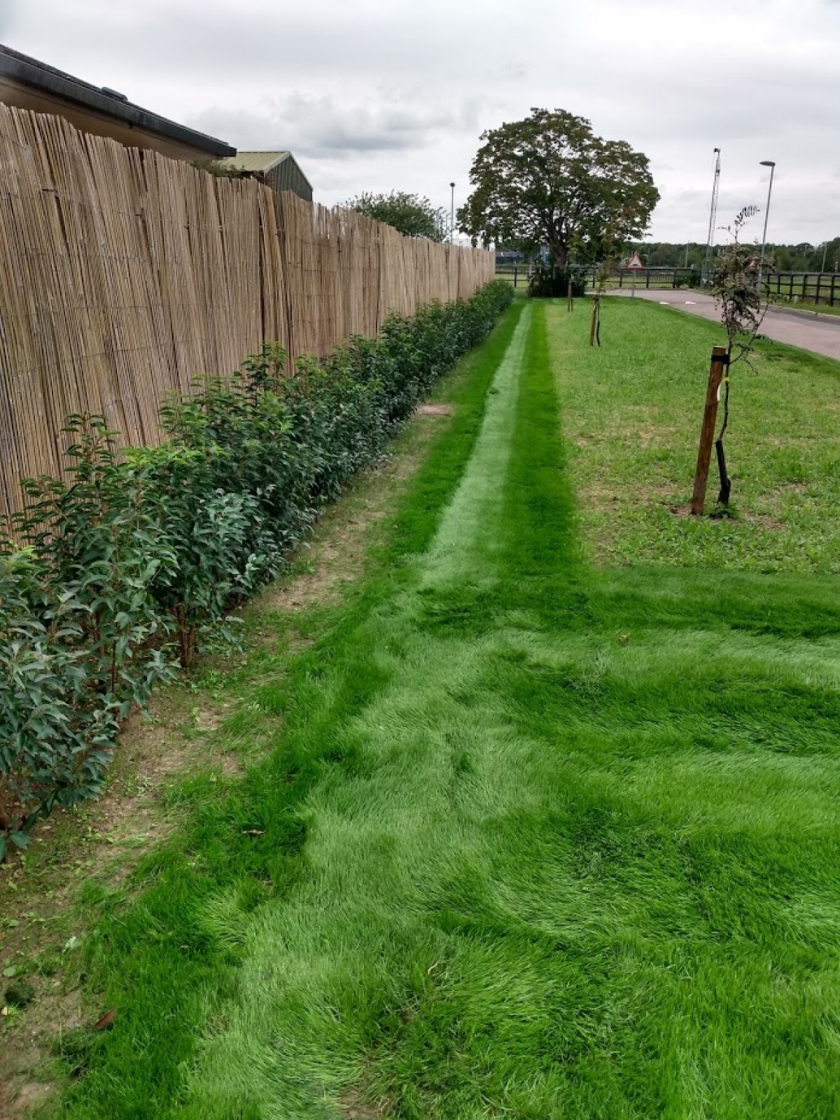 Before & After Popped back to a site we worked at earlier in the year. New grass, new hedge and a lovely wild flower bed. :-)