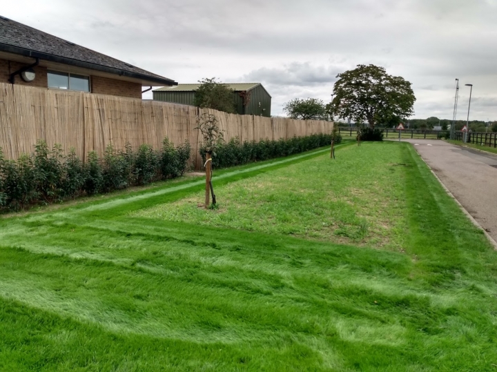 Before & After Popped back to a site we worked at earlier in the year. New grass, new hedge and a lovely wild flower bed. :-)