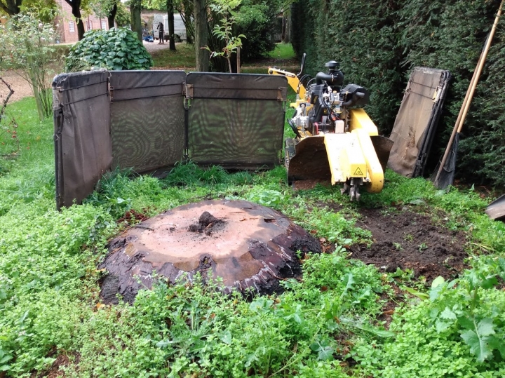 Little stump :-) For all your stump grinding needs, big or small - just give us a call :-)