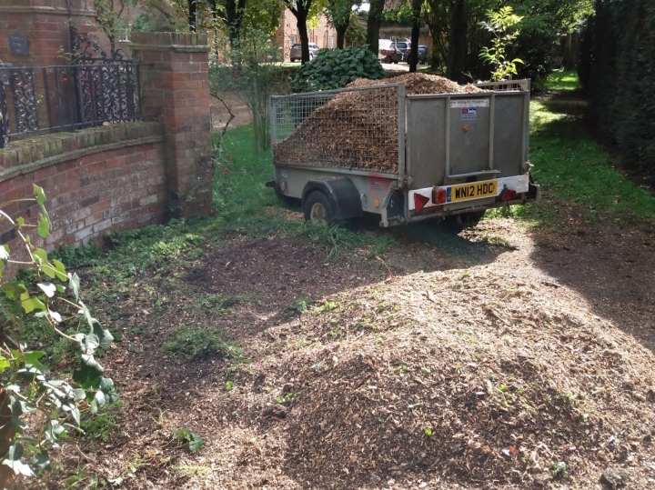 Little stump :-) For all your stump grinding needs, big or small - just give us a call :-)