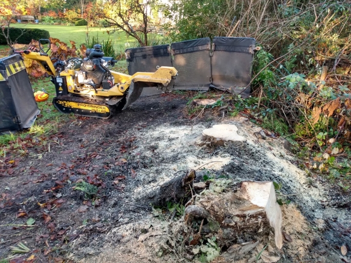 Busy day For all your stump grinding needs, big or small - just give us a call :-)