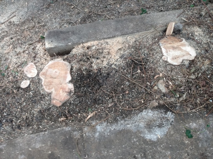 Before & After Between a rock & a hard place today :-)