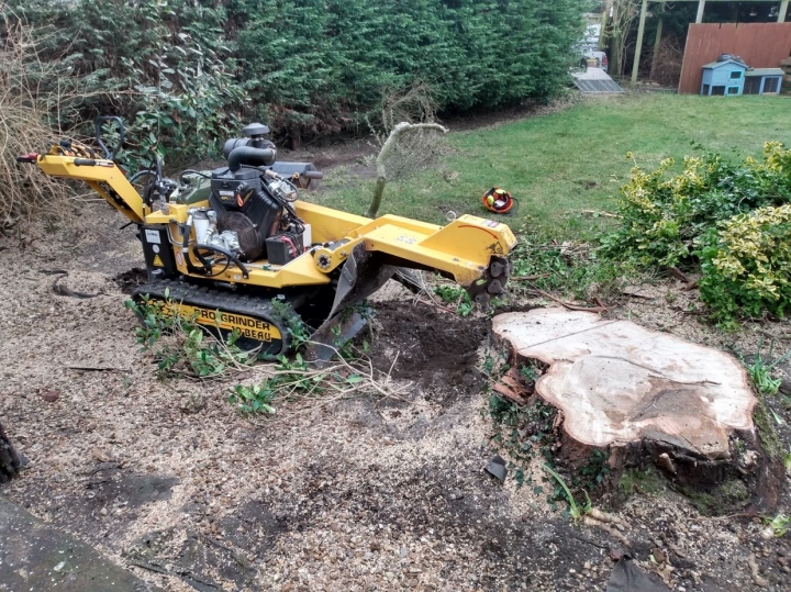 Before & After For all your stump grinding needs, big or small - just give us a call :-)