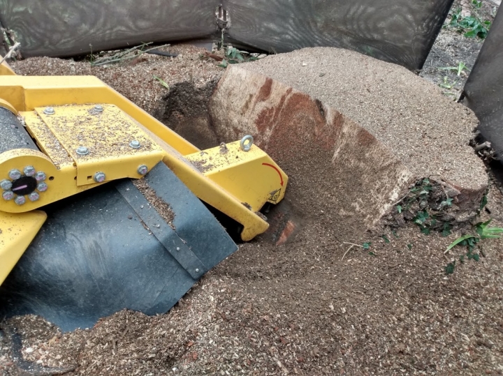Before & After For all your stump grinding needs, big or small - just give us a call :-)