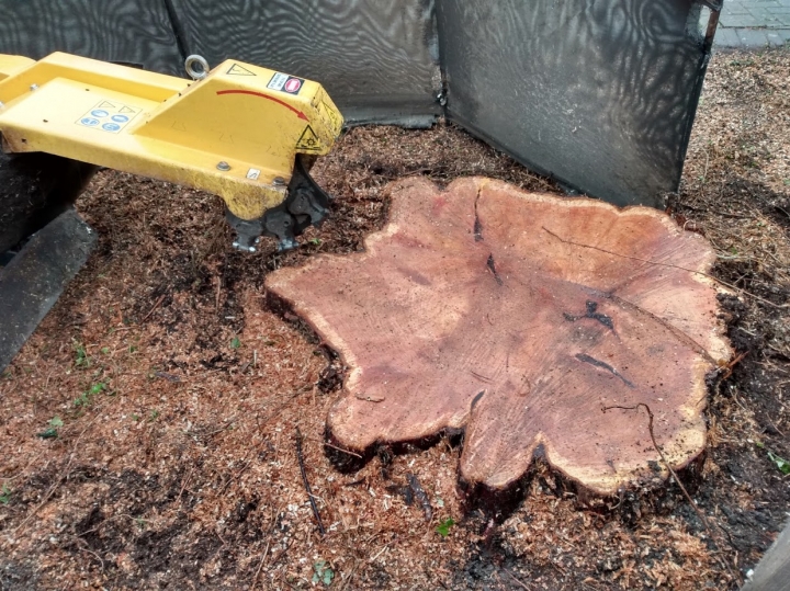 Before & After For all your stump grinding needs, big or small - just give us a call :-)