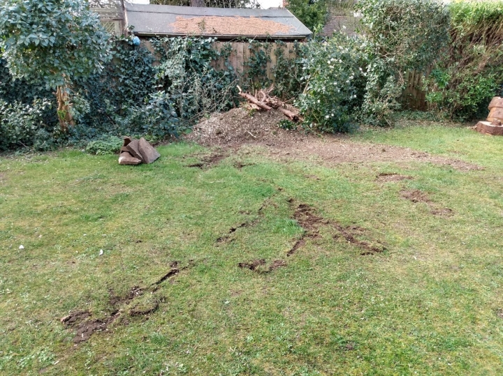 Narrow Access For all your stump grinding needs, big or small - just give us a call :-)