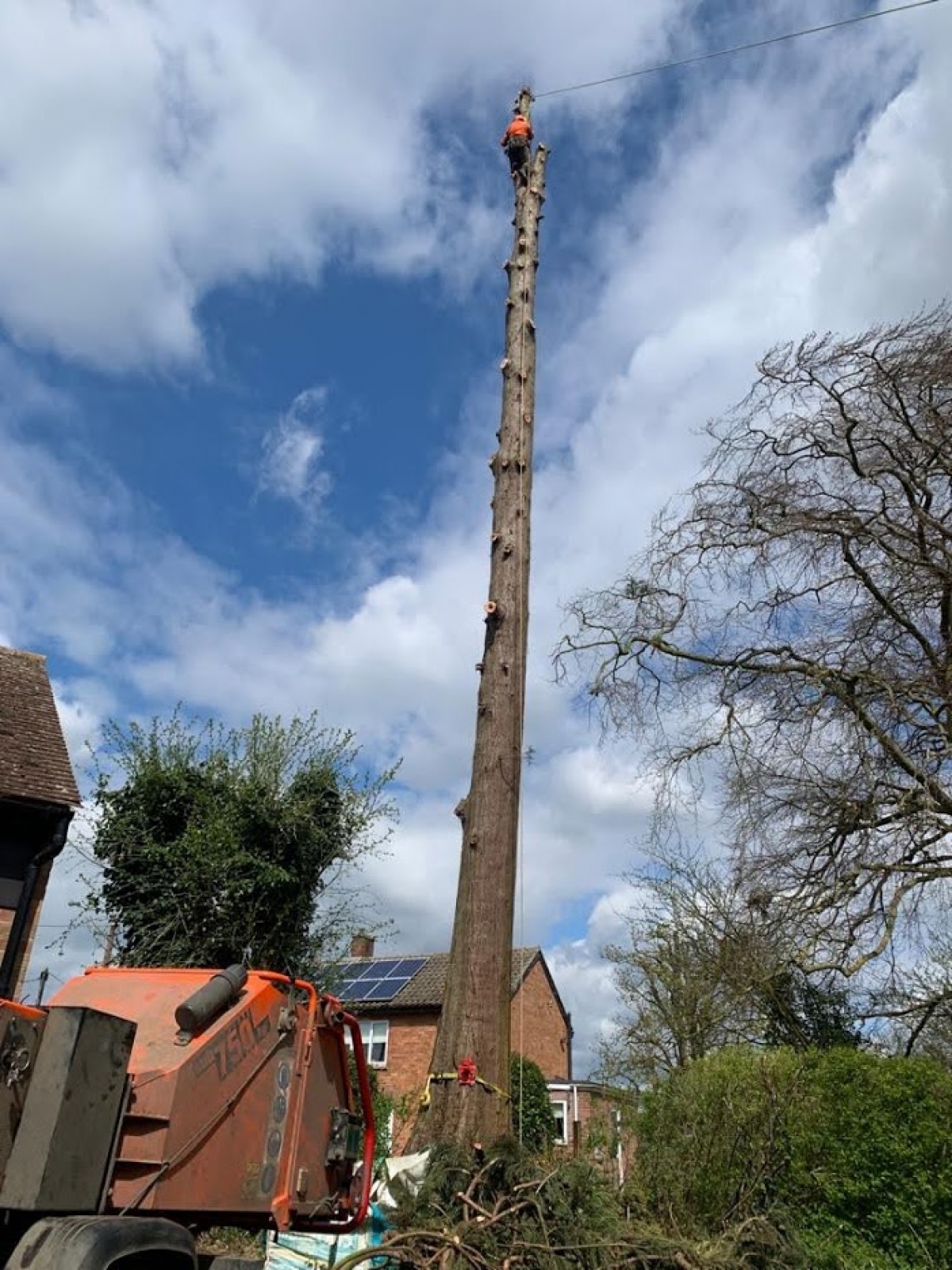 Little bit of height today :-) Big thank you to Jenna, Shane & Jacob (Oakes & Watson Tree Surgery). Not often the stump grinder guy gets up a tree. Great views across the Cambridgeshire countryside. Ely Cathedral in the distance. :-)