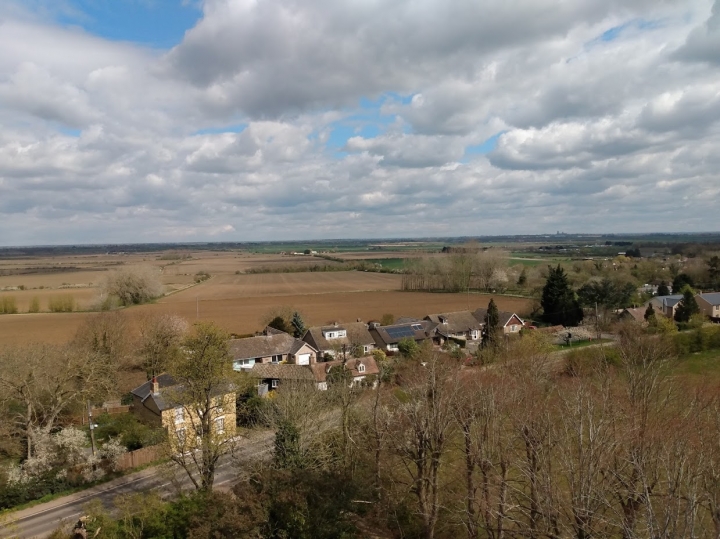 Ely Cathedral, top right of picture :-) Big thank you to Jenna, Shane & Jacob (Oakes & Watson Tree Surgery). Not often the stump grinder guy gets up a tree. Great views across the Cambridgeshire countryside. Ely Cathedral in the distance. :-)