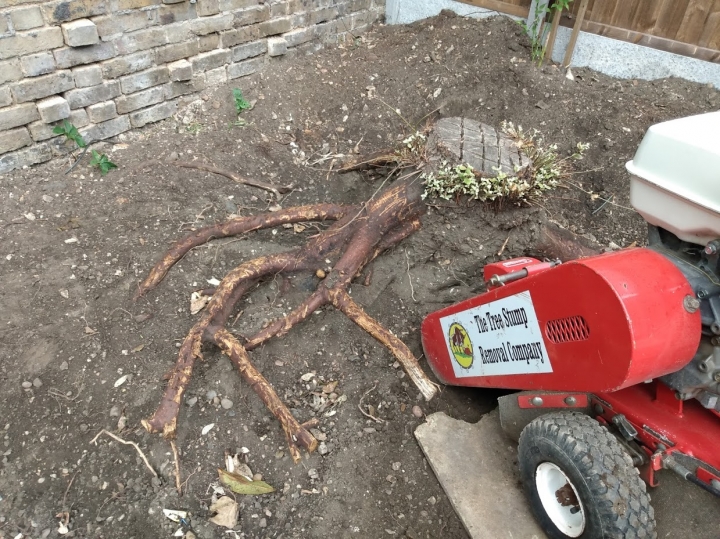 Before & After For all your stump grinding needs, big or small - just give us a call :-)