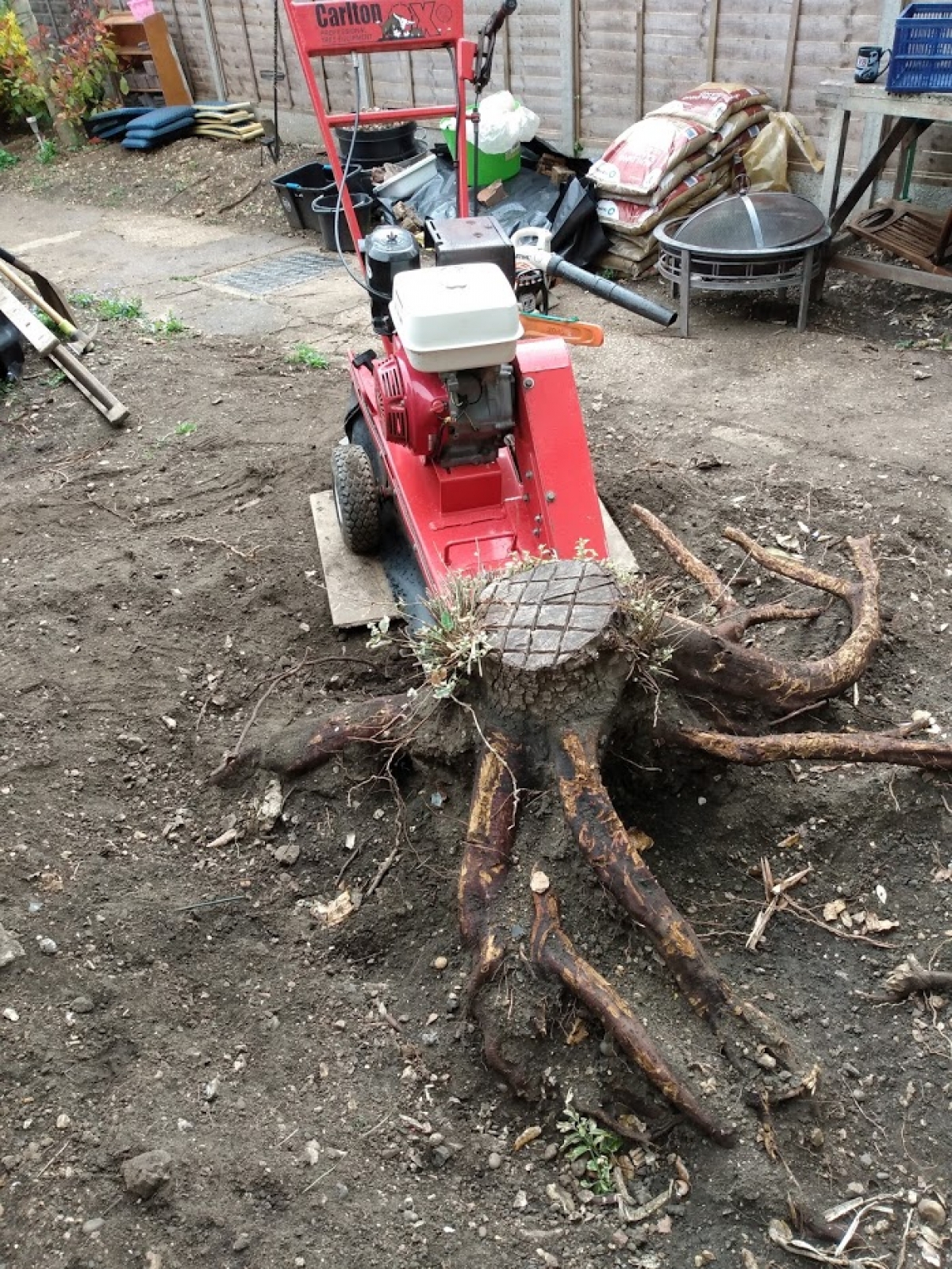 Before & After For all your stump grinding needs, big or small - just give us a call :-)
