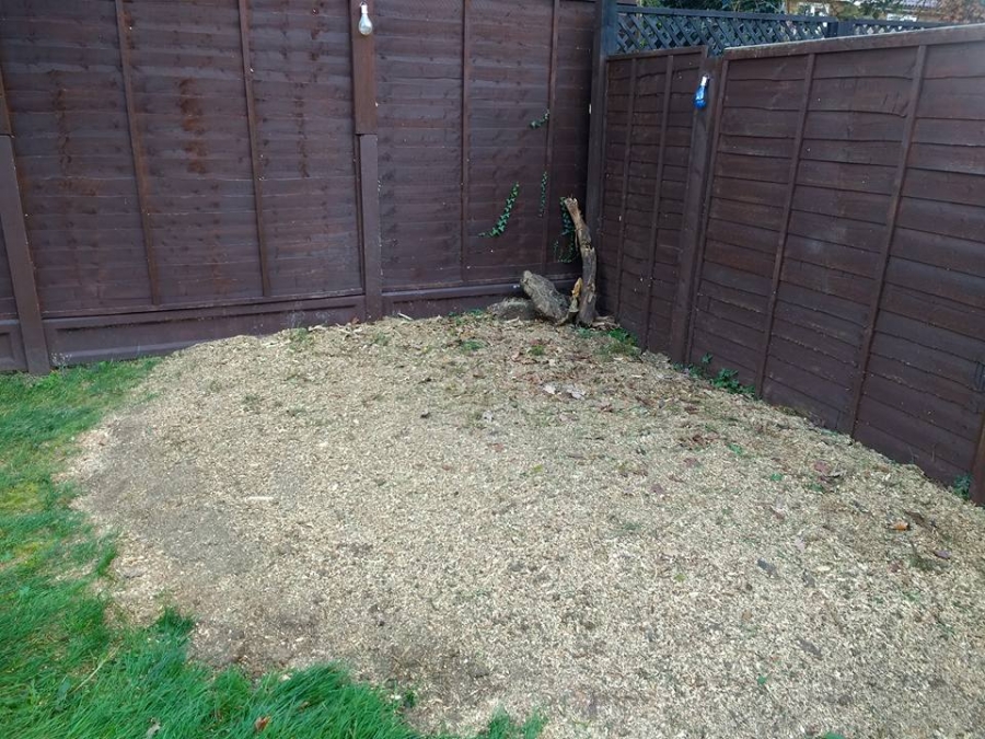Our Work - Herts Stump Grinding and Removal -  The Tree Stump Removal Company