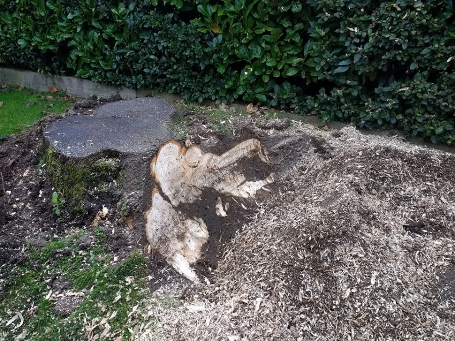Our Work - Herts Stump Grinding and Removal -  The Tree Stump Removal Company