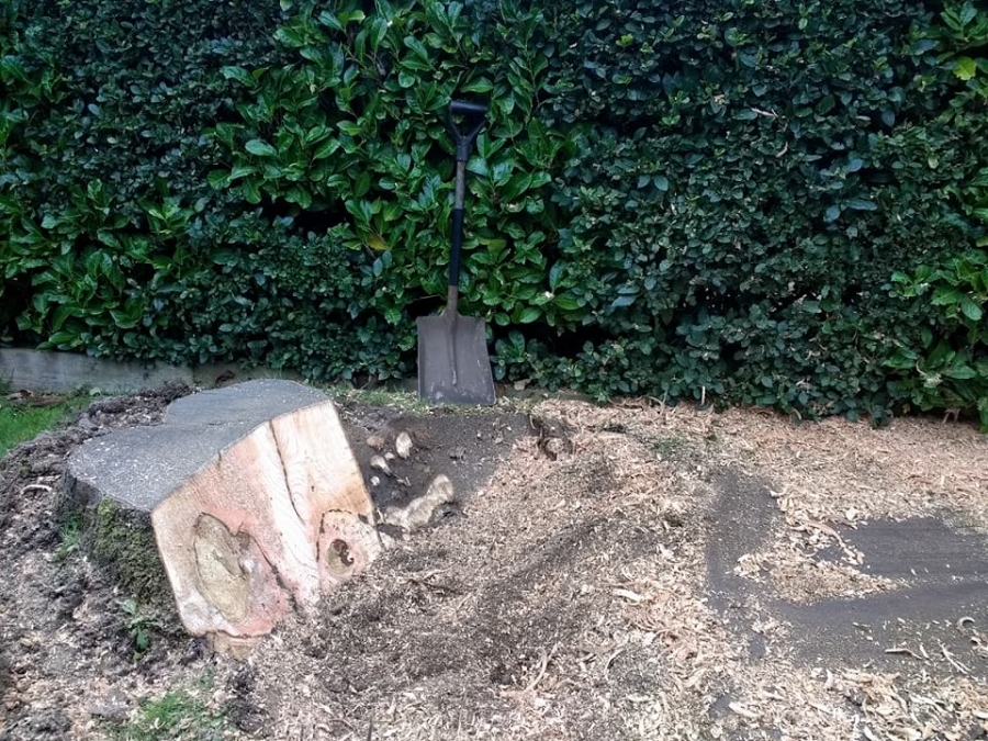 Our Work - Herts Stump Grinding and Removal -  The Tree Stump Removal Company