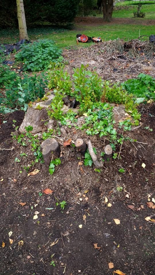 Our Work - Herts Stump Grinding and Removal -  The Tree Stump Removal Company