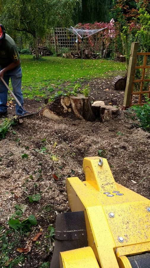 Our Work - Herts Stump Grinding and Removal -  The Tree Stump Removal Company