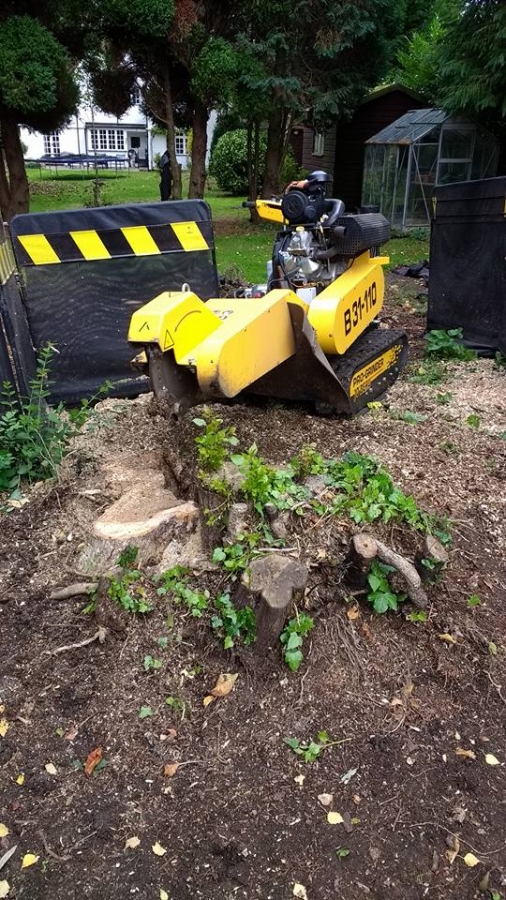 Our Work - Herts Stump Grinding and Removal -  The Tree Stump Removal Company
