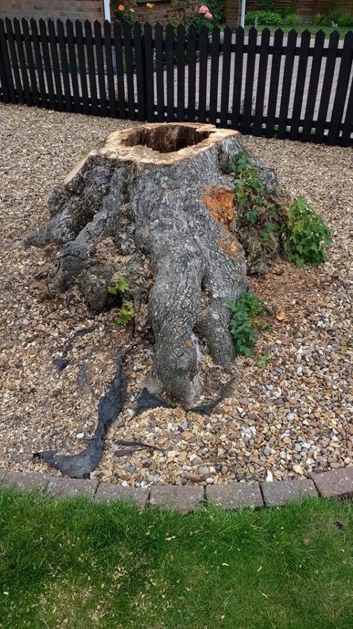 Our Work - Herts Stump Grinding and Removal -  The Tree Stump Removal Company