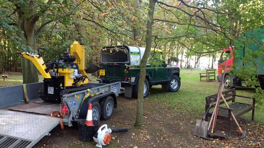 Our Work - Herts Stump Grinding and Removal -  The Tree Stump Removal Company