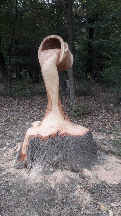 Our Work - Herts Stump Grinding and Removal -  The Tree Stump Removal Company