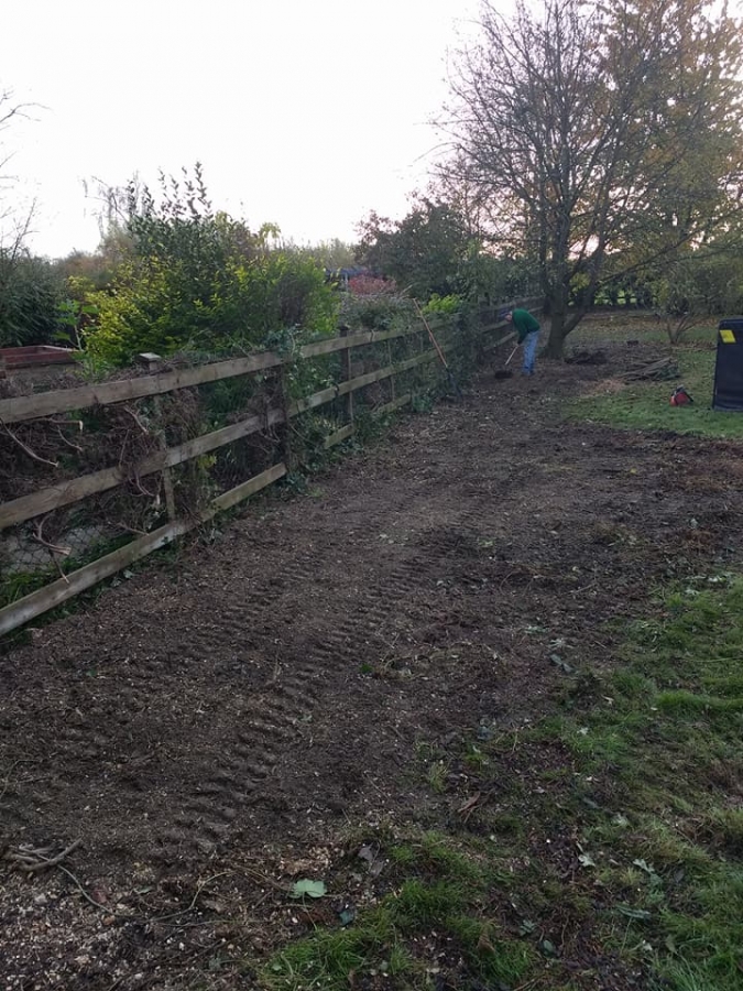 Our Work - Herts Stump Grinding and Removal -  The Tree Stump Removal Company