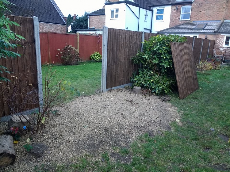 Our Work - Herts Stump Grinding and Removal -  The Tree Stump Removal Company