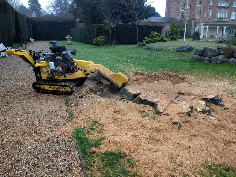 Our Work - Herts Stump Grinding and Removal -  The Tree Stump Removal Company