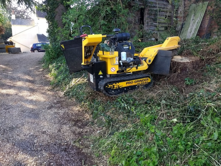 Our Work - Herts Stump Grinding and Removal -  The Tree Stump Removal Company