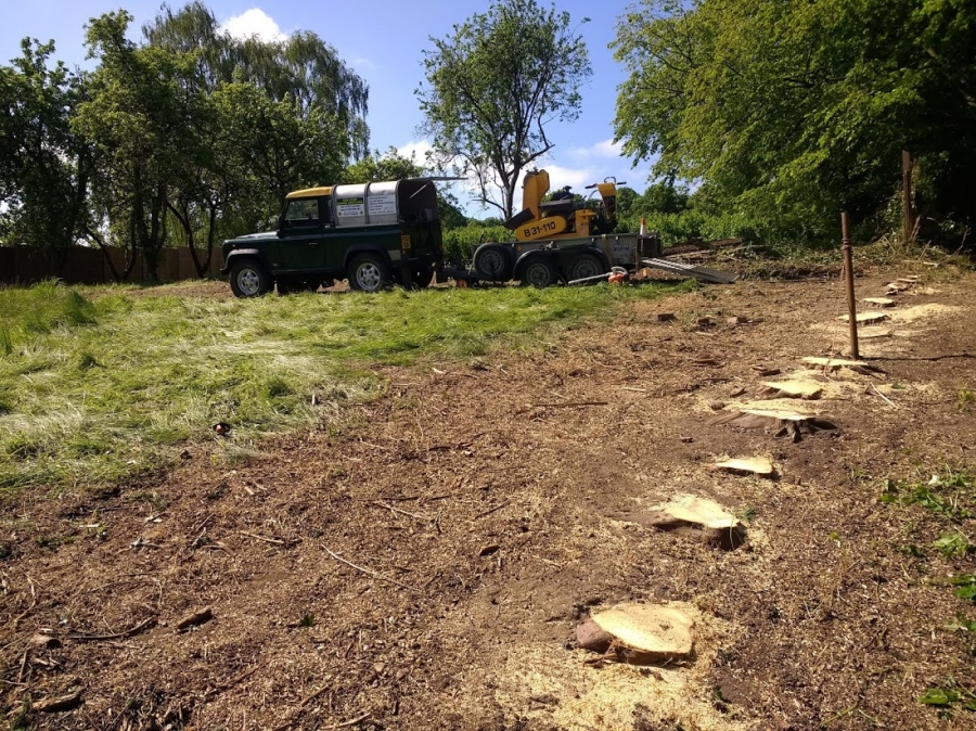Our Work - Herts Stump Grinding and Removal -  The Tree Stump Removal Company