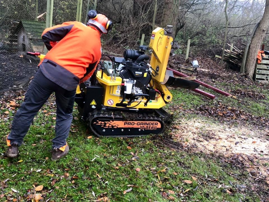 Our Work - Herts Stump Grinding and Removal -  The Tree Stump Removal Company