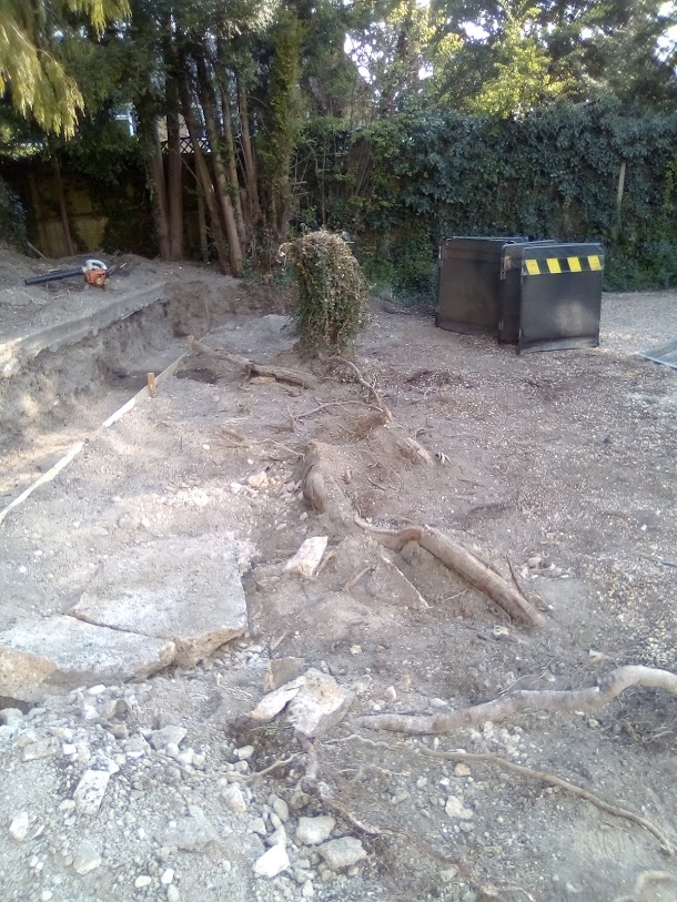 Our Work - Herts Stump Grinding and Removal -  The Tree Stump Removal Company