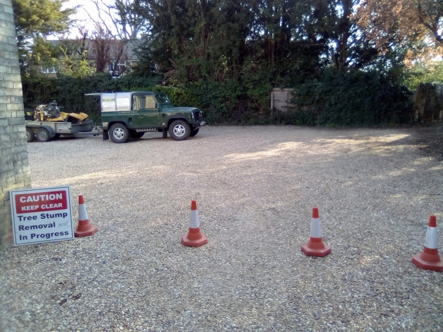Our Work - Herts Stump Grinding and Removal -  The Tree Stump Removal Company