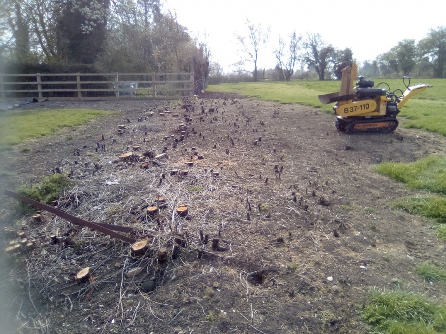 Our Work - Herts Stump Grinding and Removal -  The Tree Stump Removal Company