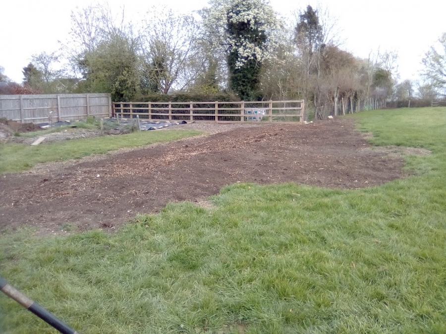 Our Work - Herts Stump Grinding and Removal -  The Tree Stump Removal Company